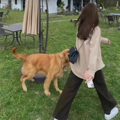 火线掏宝